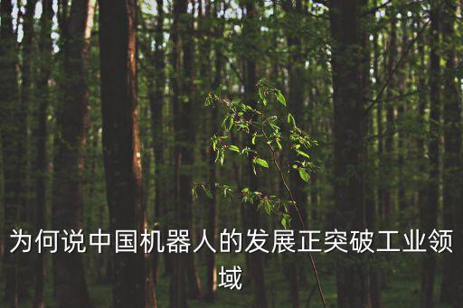 為何說(shuō)中國(guó)機(jī)器人的發(fā)展正突破工業(yè)領(lǐng)域