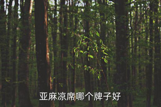 亞麻涼席哪個(gè)牌子好
