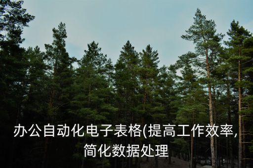 辦公自動(dòng)化電子表格(提高工作效率,簡(jiǎn)化數(shù)據(jù)處理