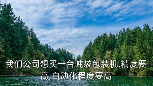 我們公司想買(mǎi)一臺(tái)噸袋包裝機(jī),精度要高,自動(dòng)化程度要高