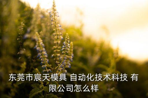 東莞市宸天模具 自動化技術科技 有限公司怎么樣
