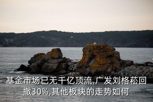 全球基金規(guī)模數(shù)據(jù),買基金要考慮哪些參數(shù)?