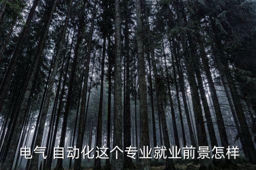  電氣 自動(dòng)化這個(gè)專業(yè)就業(yè)前景怎樣