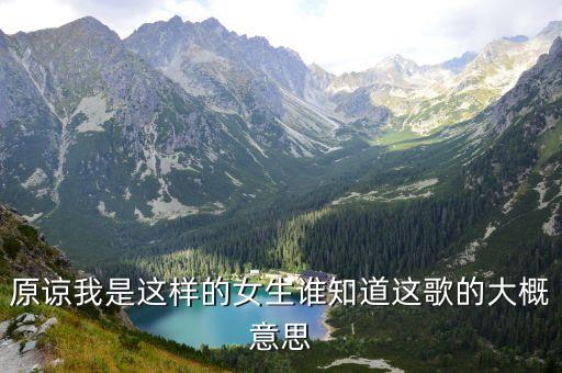 原諒我是這樣的女生誰(shuí)知道這歌的大概意思