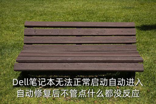 Dell筆記本無法正常啟動(dòng)自動(dòng)進(jìn)入自動(dòng)修復(fù)后不管點(diǎn)什么都沒反應(yīng)