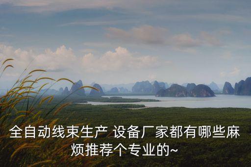全自動(dòng)線束生產(chǎn) 設(shè)備廠家都有哪些麻煩推薦個(gè)專業(yè)的~