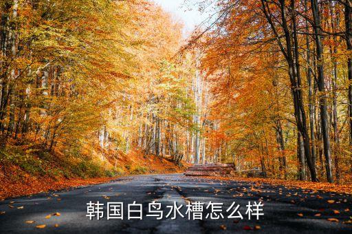 手工水槽自動(dòng)化設(shè)備工廠,什么是手工水槽?