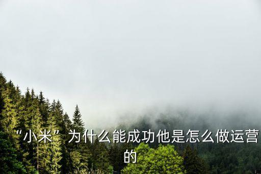 “小米”為什么能成功他是怎么做運營的