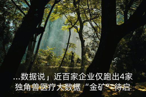 國(guó)家健康大數(shù)據(jù)公司怎么樣,北方健康醫(yī)療大數(shù)據(jù)是國(guó)企嗎?
