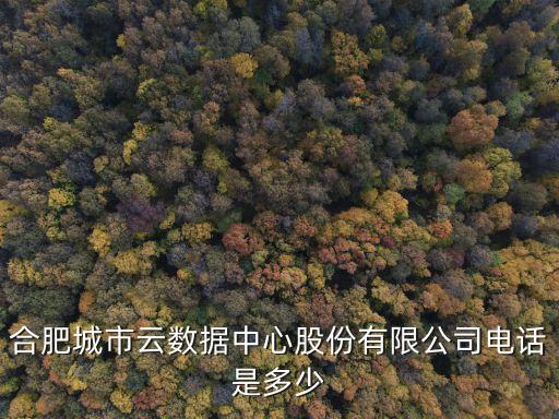 合肥城市云數(shù)據(jù)中心股份有限公司電話是多少