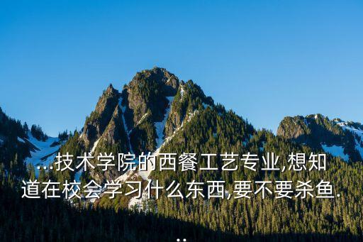 ...技術(shù)學(xué)院的西餐工藝專業(yè),想知道在校會(huì)學(xué)習(xí)什么東西,要不要?dú)Ⅳ~...
