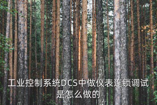 嘉興自動化電氣dcs系統(tǒng),關(guān)于dcs你必須知道的5件事!