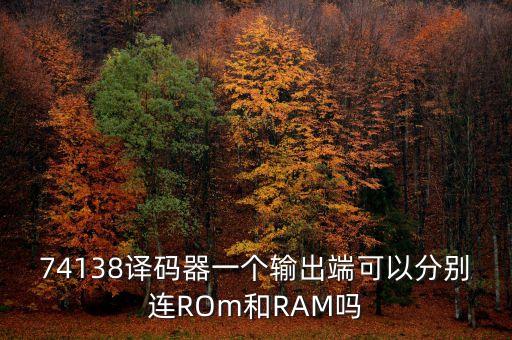 74138譯碼器一個輸出端可以分別連ROm和RAM嗎