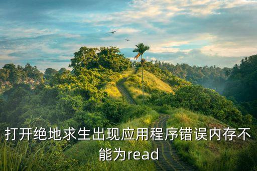 打開絕地求生出現(xiàn)應(yīng)用程序錯(cuò)誤內(nèi)存不能為read