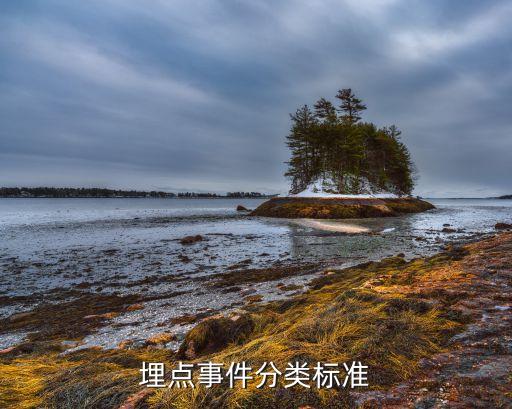 app數(shù)據(jù)埋點(diǎn)開發(fā),神策數(shù)據(jù)埋點(diǎn)如何構(gòu)建和運(yùn)行?