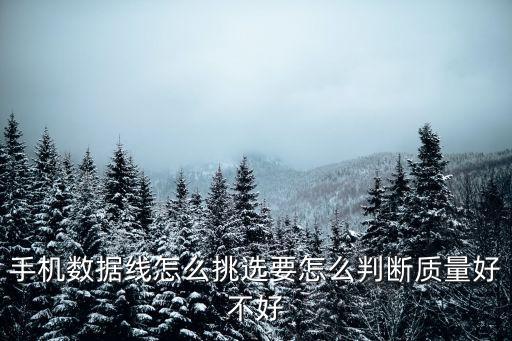 手機數(shù)據(jù)線怎么挑選要怎么判斷質(zhì)量好不好