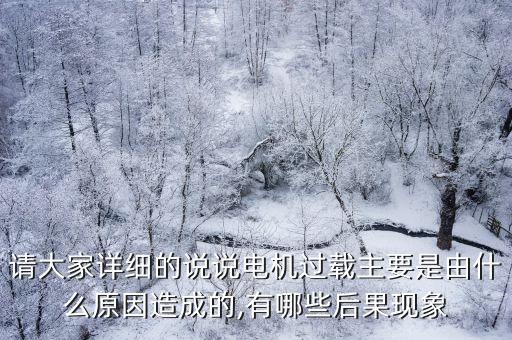請(qǐng)大家詳細(xì)的說說電機(jī)過載主要是由什么原因造成的,有哪些后果現(xiàn)象