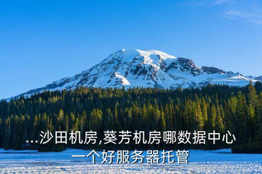 ...沙田機(jī)房,葵芳機(jī)房哪數(shù)據(jù)中心一個(gè)好服務(wù)器托管