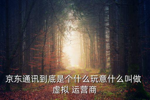 京東通訊到底是個(gè)什么玩意什么叫做 虛擬 運(yùn)營(yíng)商