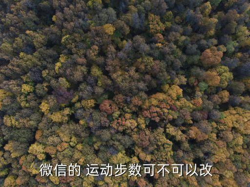 微信運(yùn)動(dòng)數(shù)據(jù)怎么修改