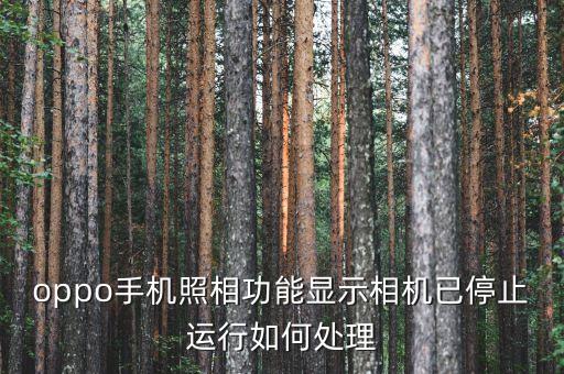 oppo手機(jī)照相功能顯示相機(jī)已停止運(yùn)行如何處理