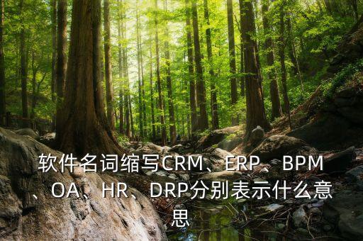 軟件名詞縮寫CRM、ERP、BPM、OA、HR、DRP分別表示什么意思