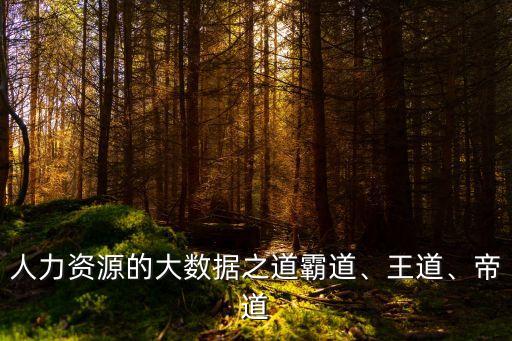 人力資源的大數(shù)據(jù)之道霸道、王道、帝道