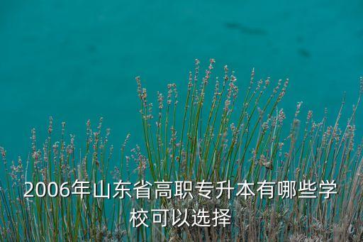 2006年山東省高職專升本有哪些學(xué)?？梢赃x擇