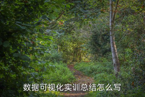 數(shù)據(jù)可視化實(shí)訓(xùn)總結(jié)怎么寫