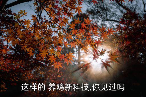 這樣的 養(yǎng)雞新科技,你見過嗎