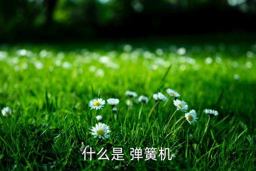 什么是 彈簧機