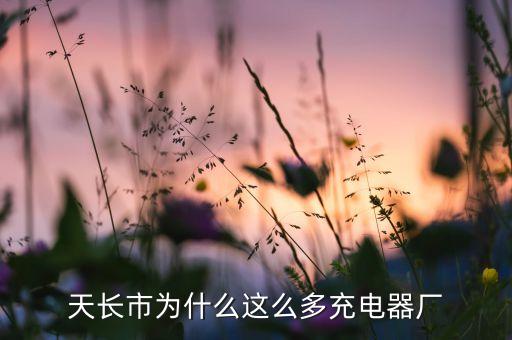 安徽充電器自動(dòng)化檢測(cè)設(shè)備,自動(dòng)化外觀檢測(cè)設(shè)備主要檢測(cè)什么