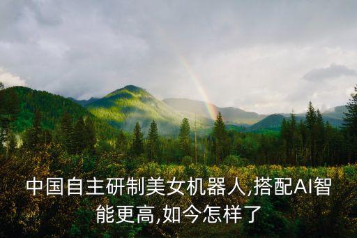 中國自主研制美女機(jī)器人,搭配AI智能更高,如今怎樣了