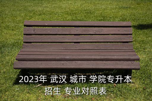 武漢城市學院自動化專業(yè)