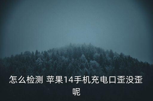 怎么檢測 蘋果14手機充電口歪沒歪呢