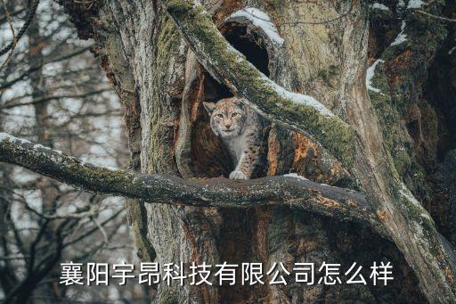 襄陽設(shè)備自動化企業(yè),襄陽鑫源機(jī)電設(shè)備有限公司怎么樣?