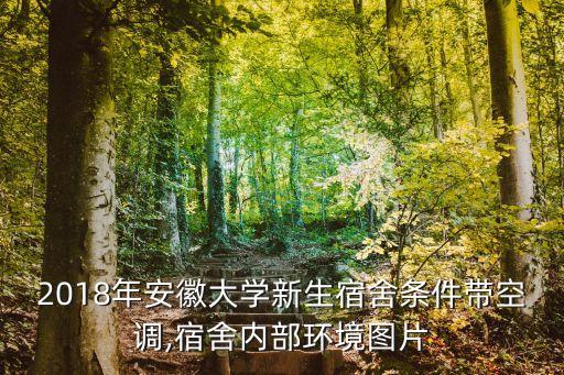 安大自動化專業(yè)宿舍怎么樣,安徽大學自動化專業(yè)怎么樣?