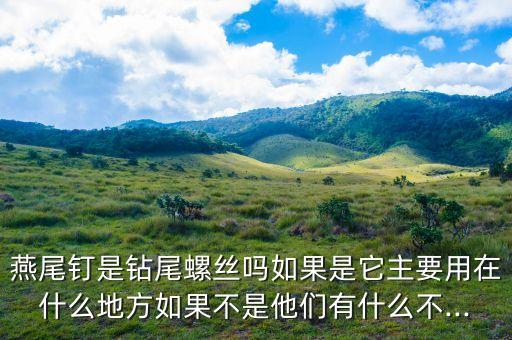 燕尾釘是鉆尾螺絲嗎如果是它主要用在什么地方如果不是他們有什么不...