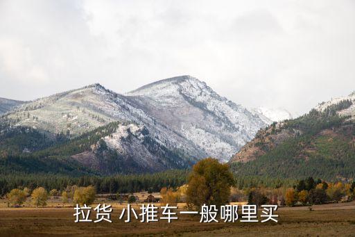 賣數(shù)據(jù)線的小推車,火車上小推車有數(shù)據(jù)線嗎