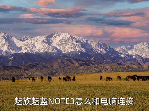 魅族魅藍(lán)NOTE3怎么和電腦連接