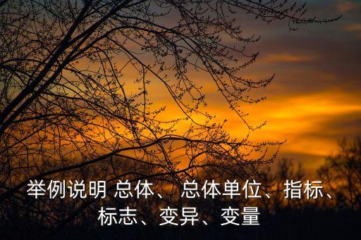 舉例說(shuō)明 總體、 總體單位、指標(biāo)、標(biāo)志、變異、變量