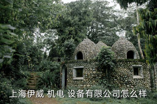上海伊威 機(jī)電 設(shè)備有限公司怎么樣
