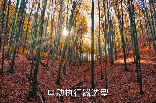 電動執(zhí)行器選型