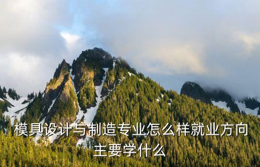  模具設(shè)計(jì)與制造專業(yè)怎么樣就業(yè)方向主要學(xué)什么