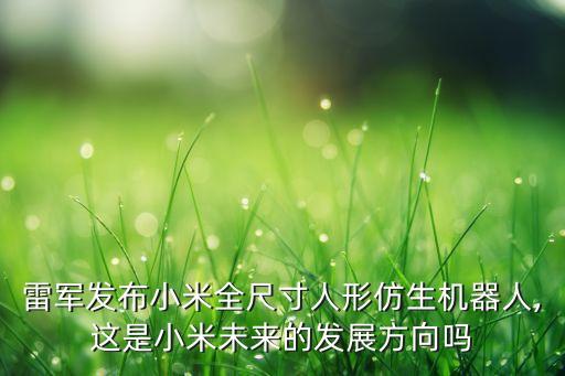 雷軍發(fā)布小米全尺寸人形仿生機器人,這是小米未來的發(fā)展方向嗎