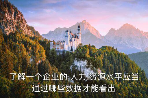 了解一個企業(yè)的 人力 資源水平應(yīng)當(dāng)通過哪些數(shù)據(jù)才能看出