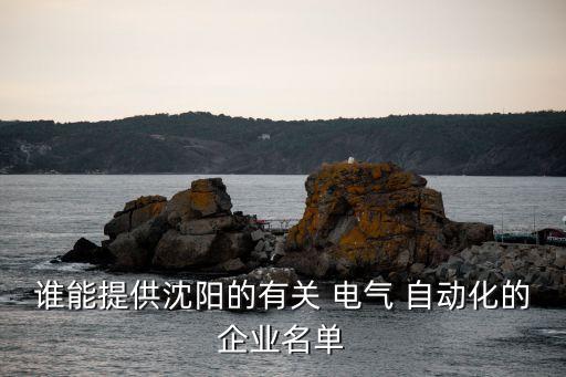 電氣自動(dòng)化技術(shù)公司名,什么公司要電氣自動(dòng)化技術(shù)人員