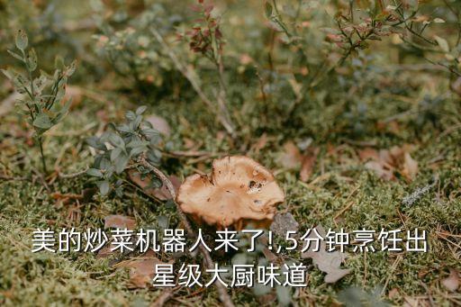 北交大 炒菜機(jī)器人,智能炒菜機(jī)器人排行榜出爐!