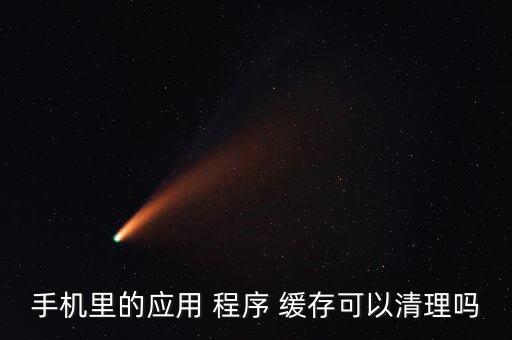 手機里的應用 程序 緩存可以清理嗎