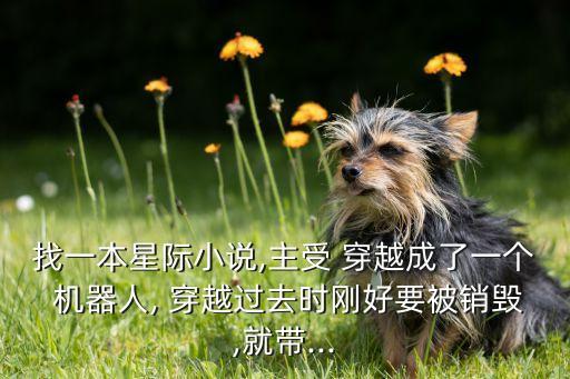 找一本星際小說,主受 穿越成了一個 機器人, 穿越過去時剛好要被銷毀,就帶...